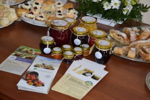 obr_1142_166_1741.JPG