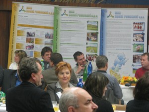 obr_195_500_2341.JPG