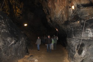 obr_447_964_2228.JPG