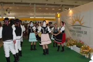 obr_597_502_2004.JPG