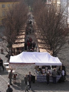 obr_750_687_1817.JPG