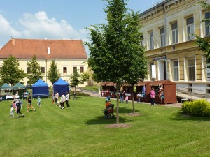 obr_911_376_1798.JPG