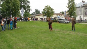 obr_941_339_1811.JPG